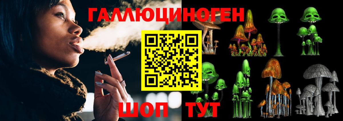 купить  цена  Псилоцибиновые грибы Psilocybe  Вход с VPN  Моздок 