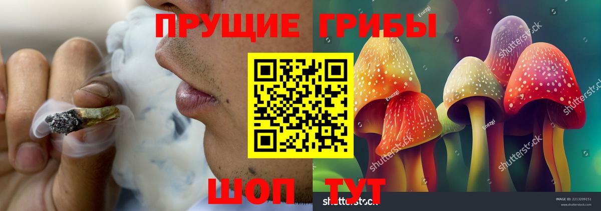 Псилоцибиновые грибы MAGIC MUSHROOMS Моздок